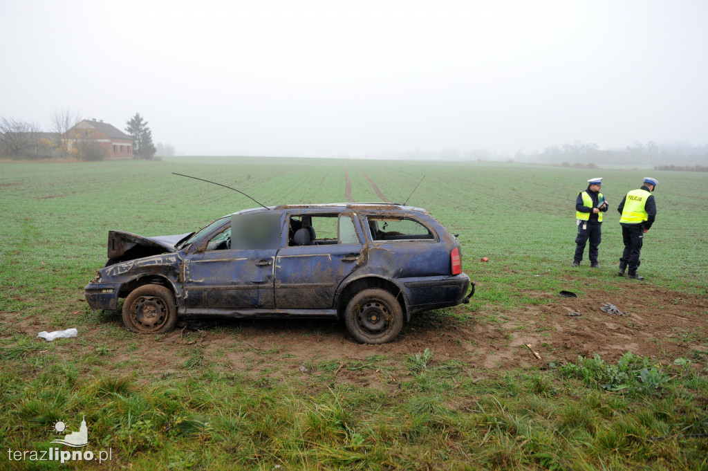 Tragiczny wypadek na DW559 w Głodowie