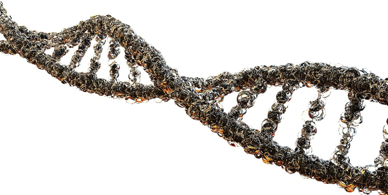 Jak uczyć się biologii na poziomie rozszerzonym