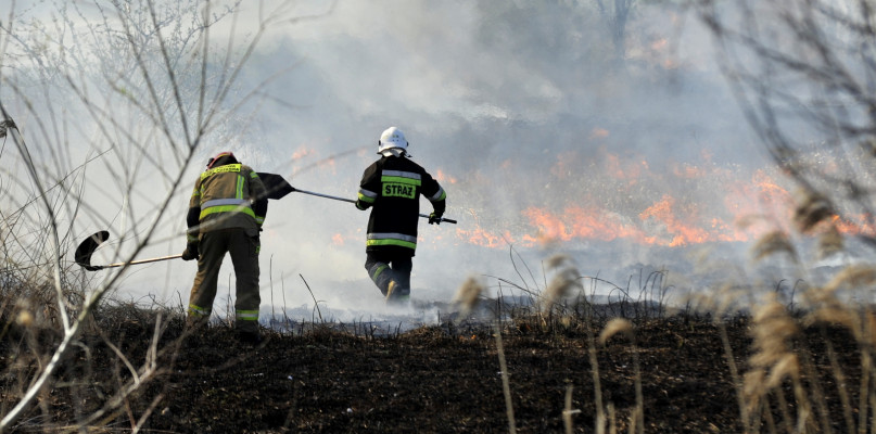 W akcji brało udział pięć zastępów straży pożarnej. Spłonęło około czterech hektarów traw. /Fot. Marcin Jaworski