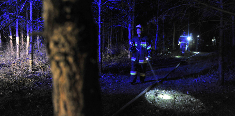 Strażacy PSP i OSP codziennie walczą z pożarami lasów. Ich ilość jest bardzo zatrważająca. /Fot. Marcin Jaworski