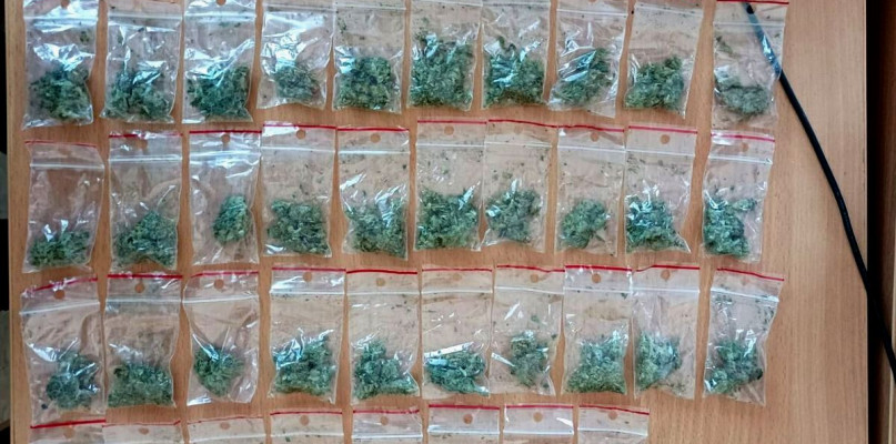 48 woreczków zawierało zielony susz roślinny, ale policjanci znaleźli również amfetaminę i MDMA /Fot. KPP w Lipnie