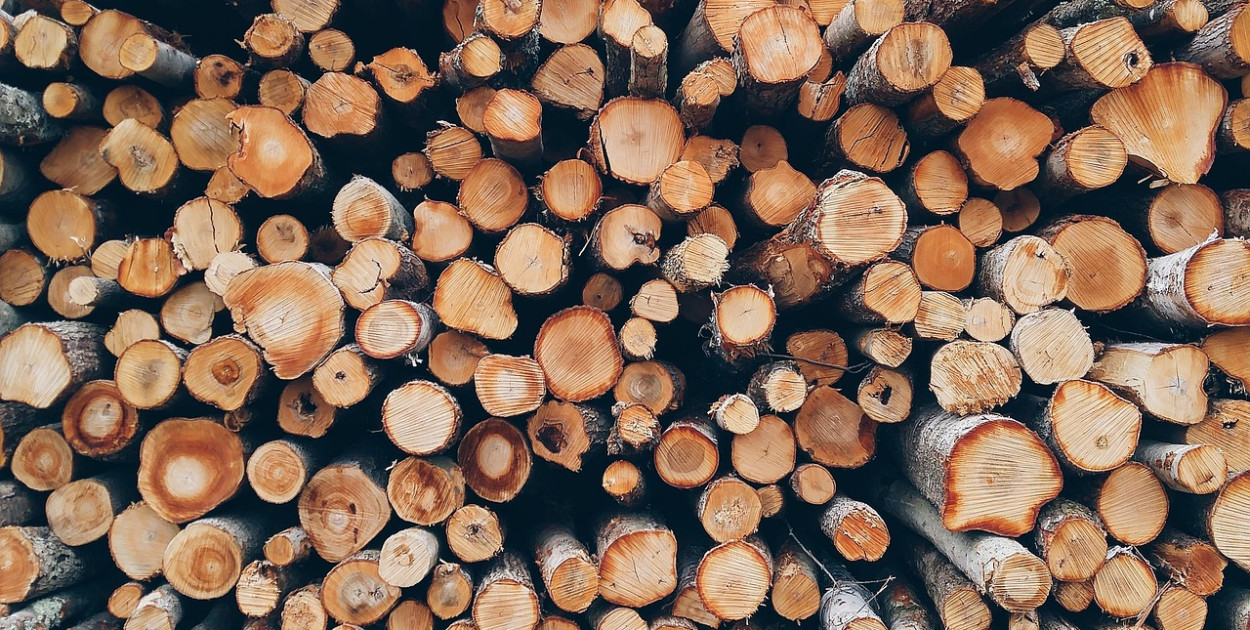 Image by Pexels from Pixabay