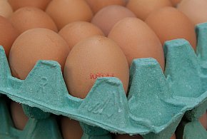 Salmonella na jajach znanej marki. Nie jedz, jeśli masz je w lodówce!-13953