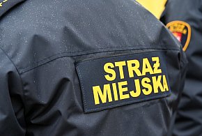 Zapuka strażnik, zapłacisz karę. Ruszyły kontrole w całej Polsce-14541