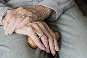 Te osoby dostaną dwie emerytury w grudniu. ZUS przesuwa przelewy-14754