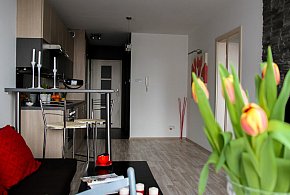 Rewolucja w wynajmie na doby. Nadchodzi koniec "wolnej amerykanki"-14847