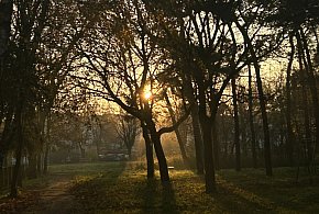 Nadchodzi najkrótszy dzień w 2025 roku. Sprawdź, kiedy przypadnie-14928