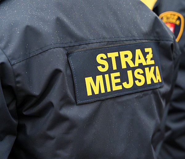 Zapuka strażnik, zapłacisz karę. Ruszyły kontrole w całej Polsce-14541