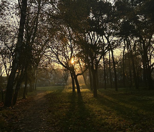 Nadchodzi najkrótszy dzień w 2025 roku. Sprawdź, kiedy przypadnie-14928